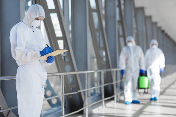 Best Mold Documentation for Insurance Claims  in Neffs, OH