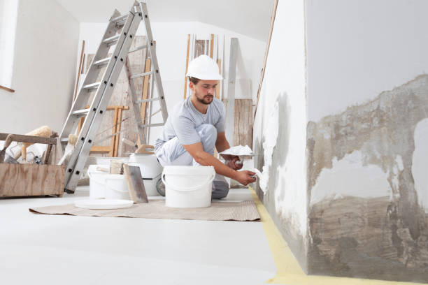 Best Basement Mold Removal  in Neffs, OH