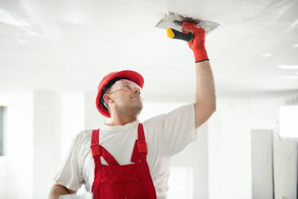 Best Mold Removal for HVAC Installations  in Neffs, OH