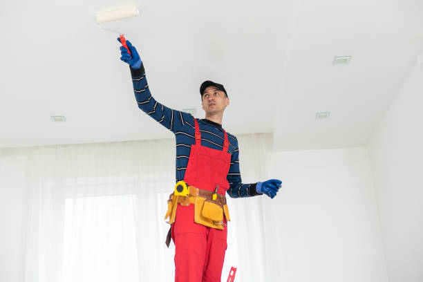 Best Crawl Space Mold Remediation  in Neffs, OH