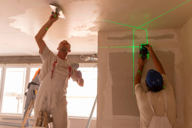 Best Real Estate Mold Inspection  in Neffs, OH