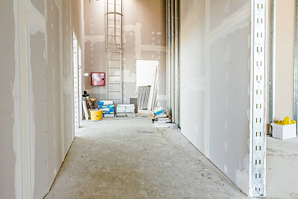 Best Dehumidification Services  in Neffs, OH