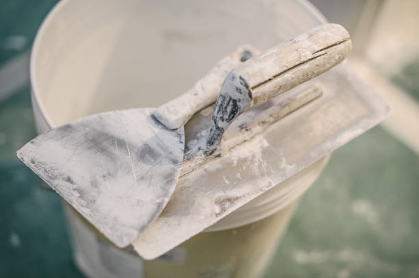Best Commercial Mold Inspection  in Neffs, OH