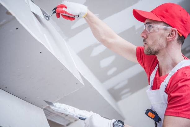 Best Emergency Mold Remediation  in Neffs, OH